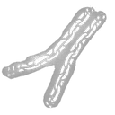 Swing Chains