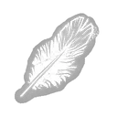 Starling Feather