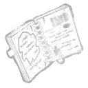 Olsen's Journal