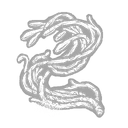 Vrille d'Uroboros