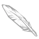 Plume de corbeau