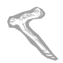 Béquille d’Akito