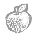 Pomme grisâtre