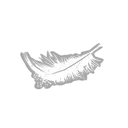 Poids plume